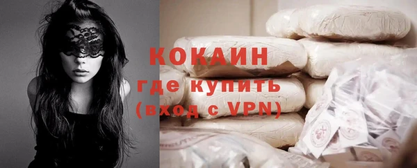 сатива Осинники