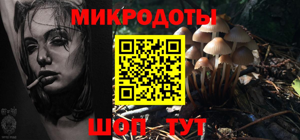 Псилоцибиновые грибы Psilocybine cubensis Старый Оскол
