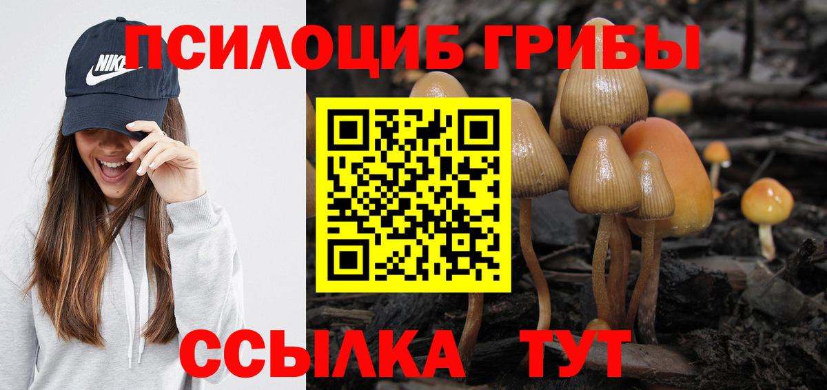 Старый Оскол  Псилоцибиновые грибы Psilocybe  Вход с VPN 