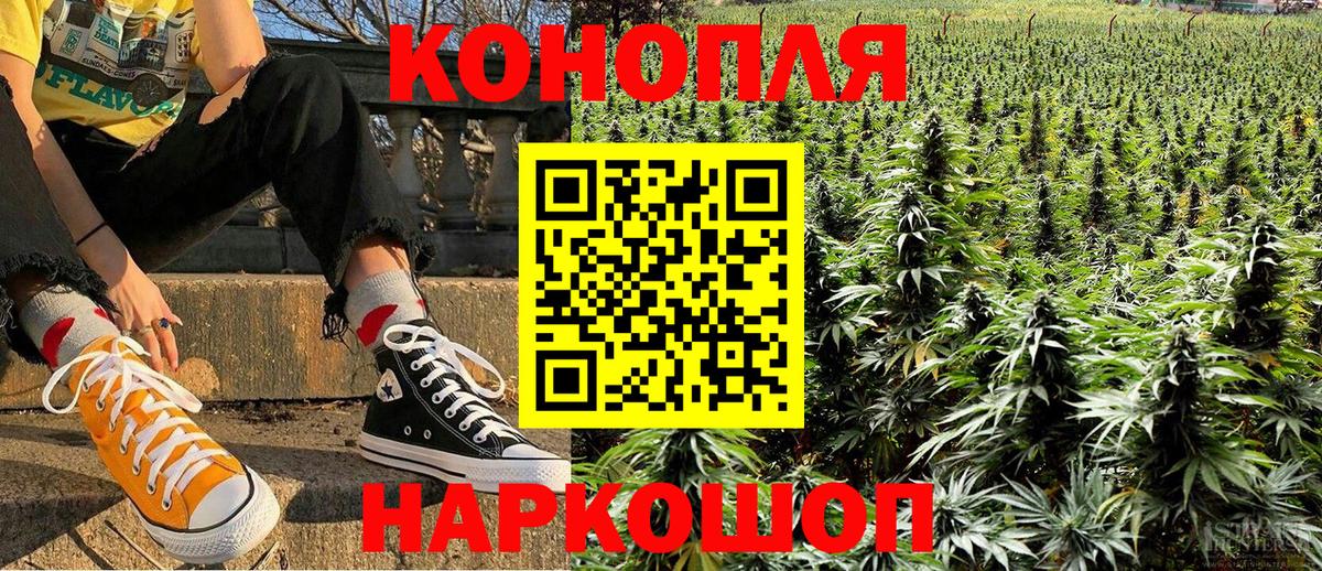 Конопля тримм  Вход с VPN  Бошки Шишки план  Старый Оскол  Бошки Шишки семена  Бошки марихуана планчик 